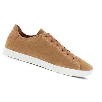 Baskets Ecco Collin 2.0 Homme Marron | FR 613BEX